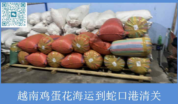 越南雞蛋花海運到蛇口港清關.jpg